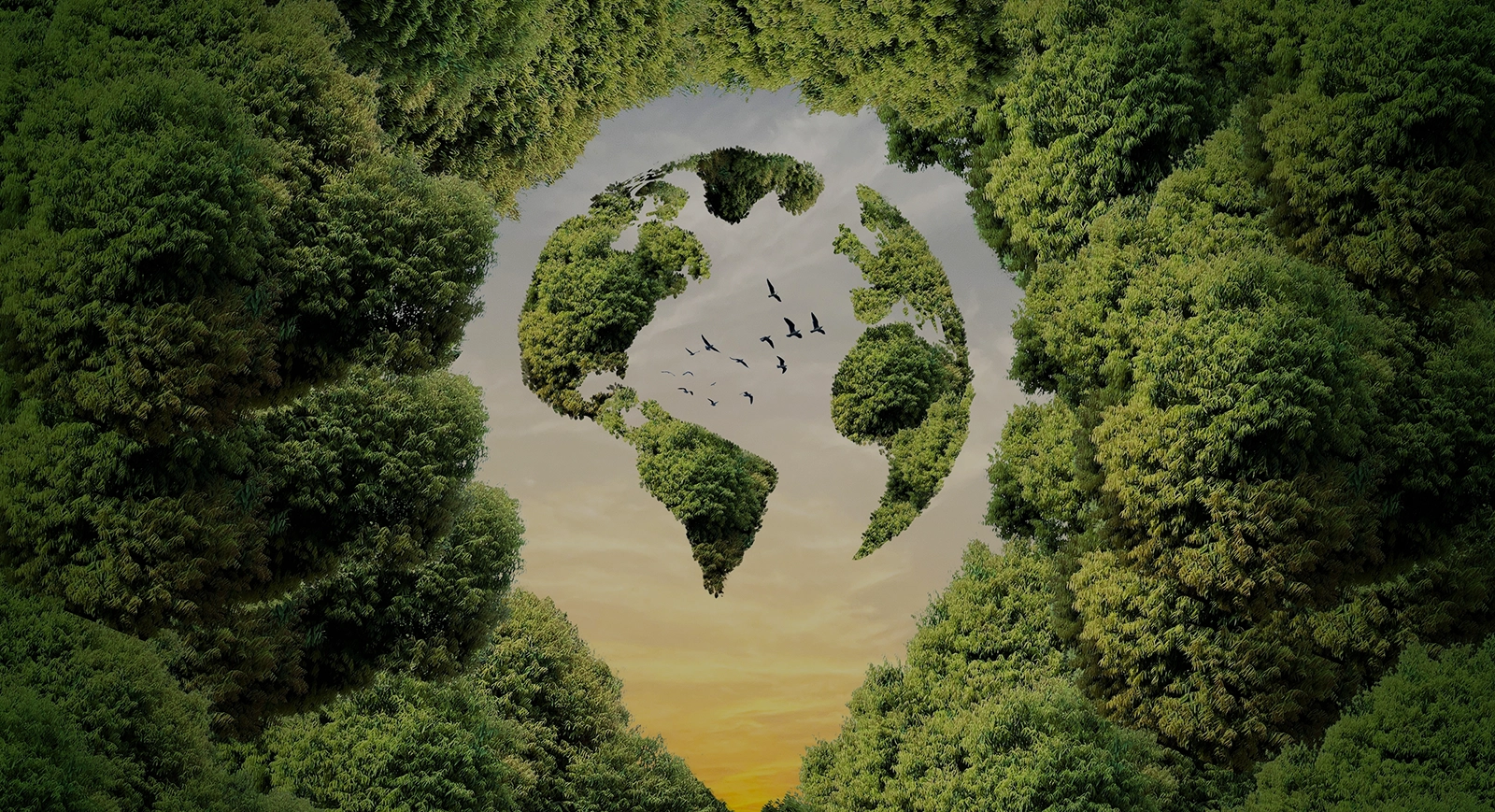 SUSTAINABILITY