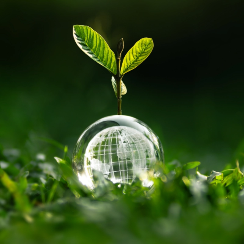 sustainability